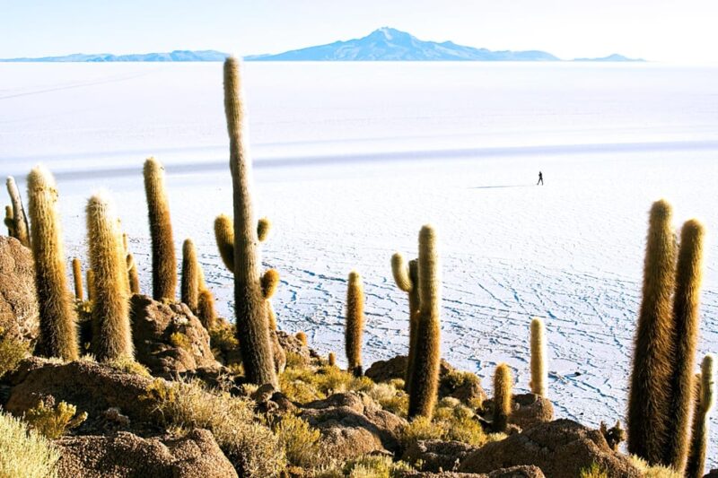 4D/3N SAN PEDRO DE ATACAMA- UYUNI- SAN PEDRO DE ATACAMA/ VIP - Itinerary Highlights