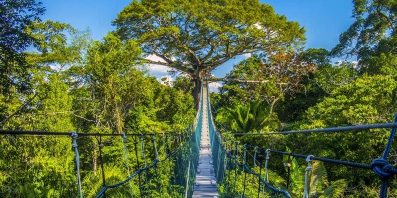 4D Eco-Adventure Tour Amazon Paradise - Puerto Maldonado - Key Points