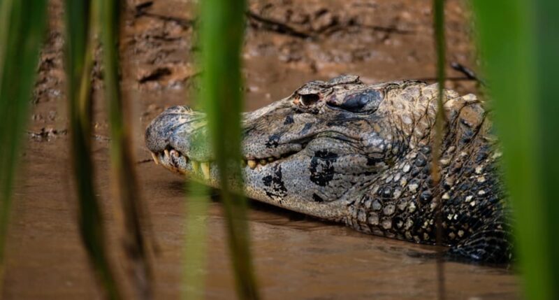 4D Eco-Adventure Tour Amazon Paradise - Puerto Maldonado - Itinerary Highlights
