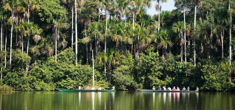 4D Eco-Adventure Tour Amazon Paradise - Puerto Maldonado - Included Services