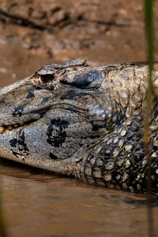 4D Eco-Adventure Tour Amazon Paradise - Puerto Maldonado - Arrival and Departure