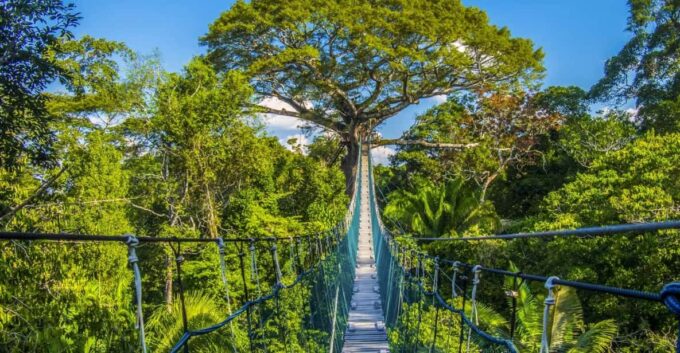 4D Eco-Adventure Tour Amazon Paradise - Puerto Maldonado - Booking and Payment