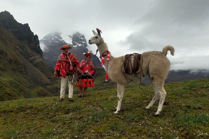 4D3N Llama Trek to Machu Picchu & Sacred Valley Journeys - Ethical Treatment of Llamas