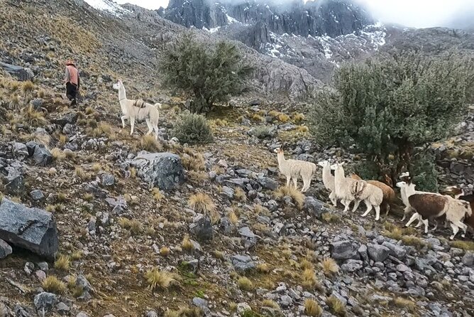 4D3N Llama Trek to Machu Picchu & Sacred Valley Journeys - Location and Accessibility