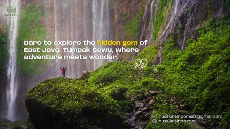 4D3N-Tumpak Sewu-Bromo-Ijen-Ketapang - Inclusions and Accommodations