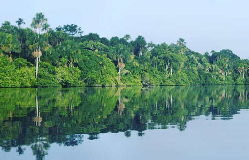 4days|| Reliable Experience: Chuncho Macaw Excursion - Key Points