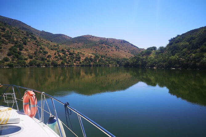 4H Private Boat Trip on the Douro River - Feel the Nature - Explore the Scenic Landscapes