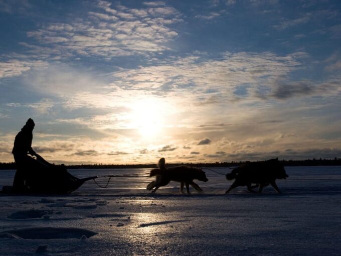4hr Dog Sledding Trip on Finnmarksvidda - Pickup and Dropoff