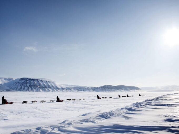 4hr Dog Sledding Trip on Finnmarksvidda - Cancellation and Payment