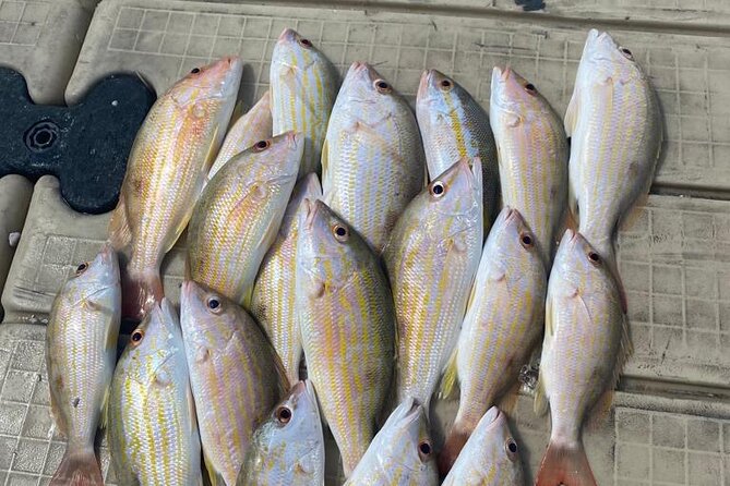 4HR-Halfday Private Fishing Tour in Gracebay - About Your Stay