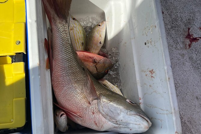 4HR-Halfday Private Fishing Tour in Gracebay - Preparing for the Tour