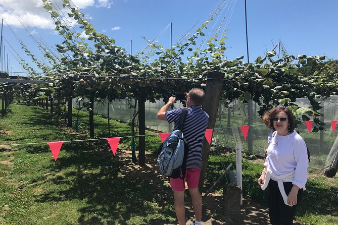 4hr Shore Excursion - History and Tasting Tour FREE Kiwifruit Tasting - Additional Tour Information