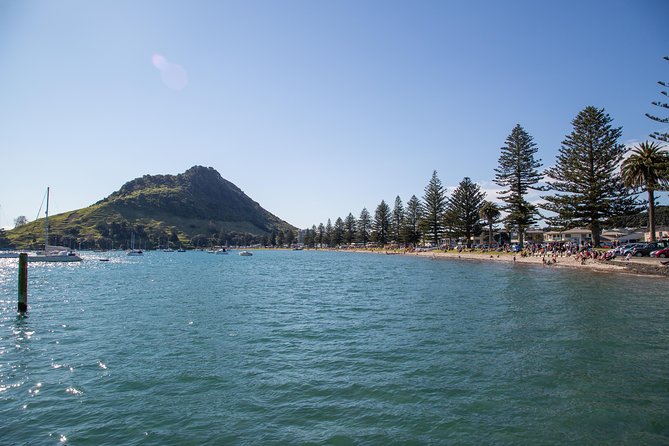 4hr Tauranga Scenic History and Tasting Tour FREE Kiwifruit Tasting - Historical Sites and Industries