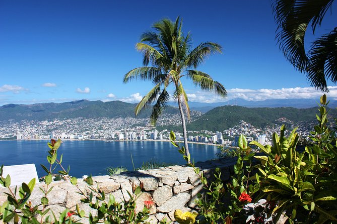 4HRS Small Group Half Day City Tour With Lunch at High Divers - Booking and Confirmation Details