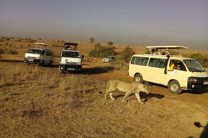4Hrs Tour Nairobi National Park Morning Game Drive Group Joining - Accessibility