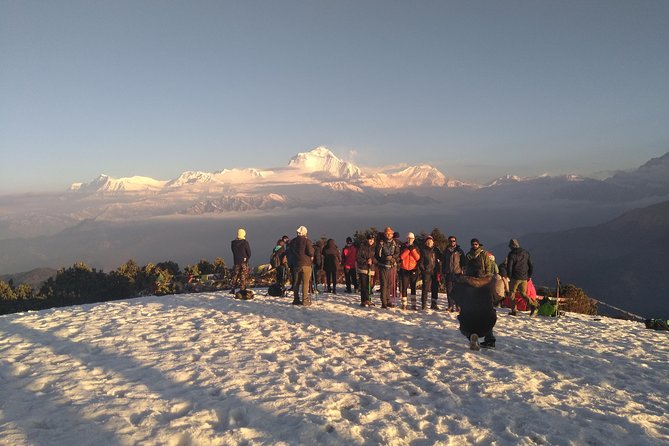 4Nights 5Days PoonHill Trek - Inclusion and Pricing