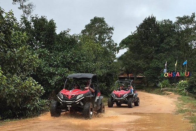 4WD Buggy Rzr. Tour 3 Hrs. for 1-2 People per Buggy - Meeting and Pickup