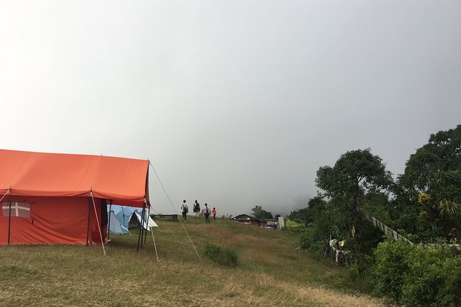 4WD Drive to Dhampus and Easy Hiking to Australian Camp From Pokhara - Detailed Itinerary