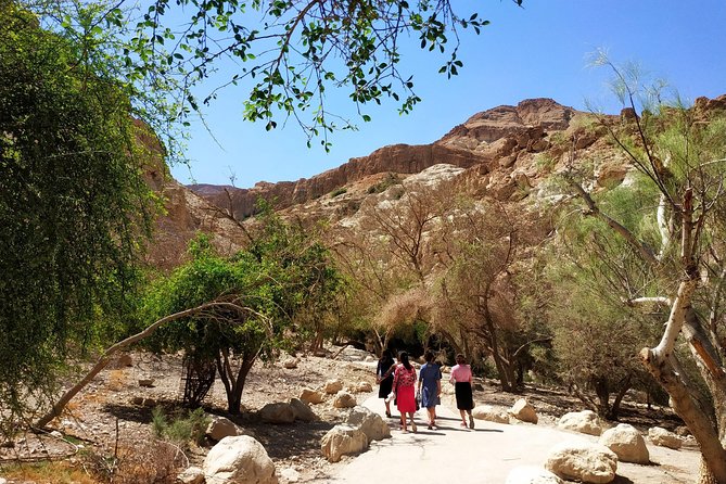 4WD Masada Ein Gedi Judea Desert Dead Sea Adventure 4x4 Tour. - Adventurous Exploration