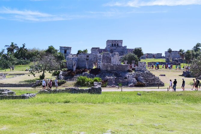 4X1 TOUR Tulum, Coba, Cenote & Playa Del Carmen With Buffet - Traveler Experiences and Feedback
