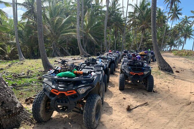 4x4 Adventure Tour, Mountains and Paradise Beaches with Food - What the Tour Offers: A Full Breakdown