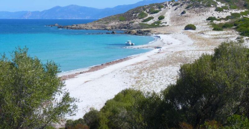 4x4 Agriates Desert and Beach Excursion From Calvi - Agriates Desert Exploration