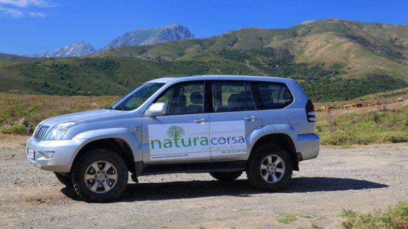 4x4 Agriates Desert and Beach Excursion From Calvi - Local Guide Insights