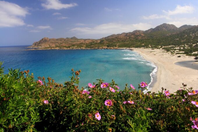 4x4 Agriates Desert and Beach Excursion From Calvi - Booking Information