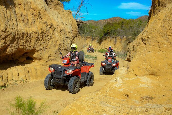 4x4 ATV Adventure with Tequila Tasting and Mexican Buffet Lunch - Final Thoughts: Who Is This Tour For?