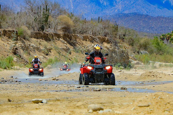 4x4 ATV Adventure with Tequila Tasting and Mexican Buffet Lunch - FAQs
