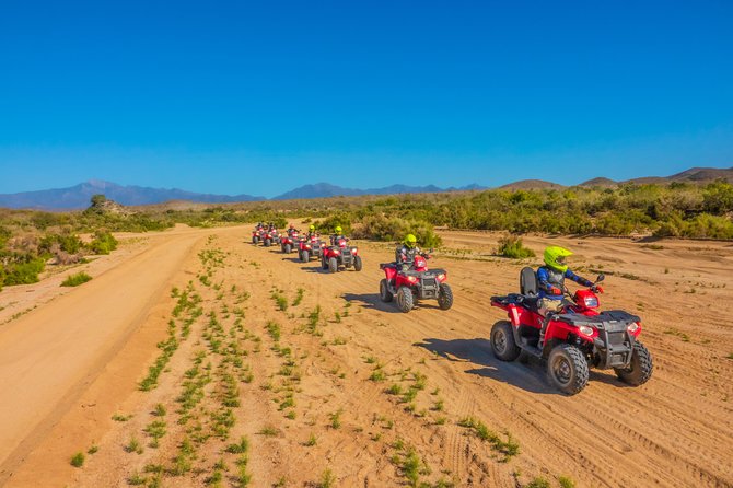 4x4 ATV Adventure With Tequila Tasting and Mexican Buffet Lunch - Age and Weight Limits