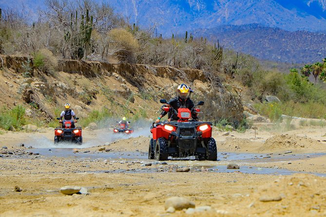 4x4 ATV Adventure With Tequila Tasting and Mexican Buffet Lunch - Entrance Fees and Gratuities