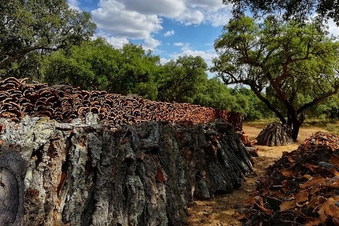4x4 Cork Tour With Lunch & Wine Tasting - Tour Details