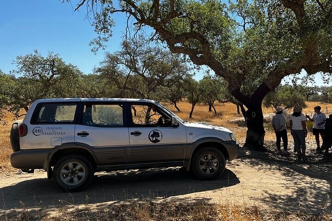 4x4 Cork Tour With Optional Lunch - Key Points