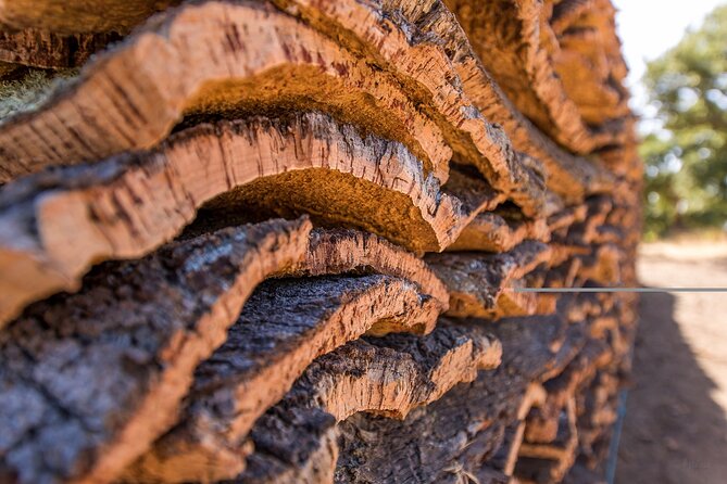 4x4 Cork Tour With Optional Lunch - Tasting Experiences