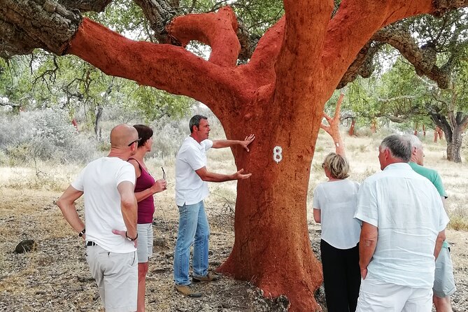 4x4 Cork Tour With Optional Lunch - Meeting and End Points