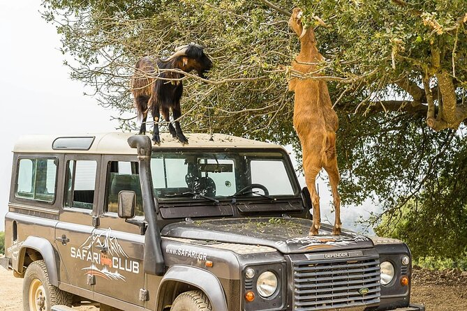 4x4 Cretan Experience From Rethymnon - What to Bring for the Experience