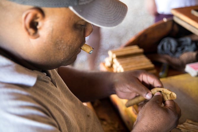 4x4 Dominican Adventure With Chocolate and Coffee Tasting - Overview of the Adventure Tour