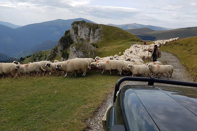 4x4 Driving Experience at Flying Altitudes - 7 Days - Booking and Cancellation Policy
