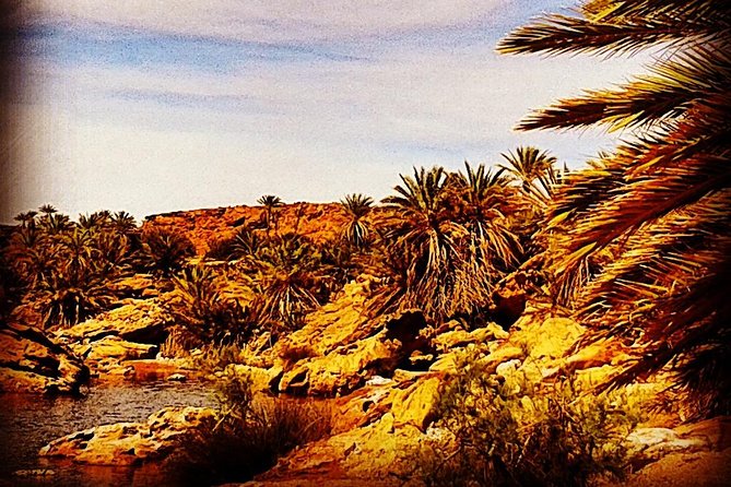 4x4 Excursion to Safsaf Wild Oasis With Traditional Berber Picnic - Schedule and Pricing