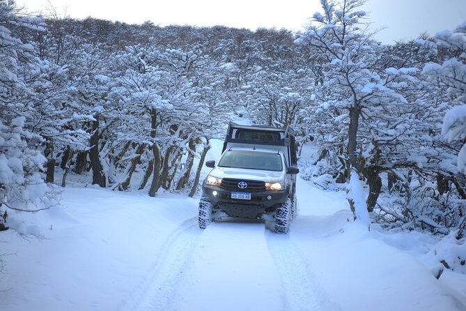 4x4 in Cerro Frías - Panoramic Views and Attractions