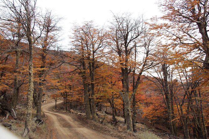 4x4 in Cerro Frías - Pricing and Cancellation Policy