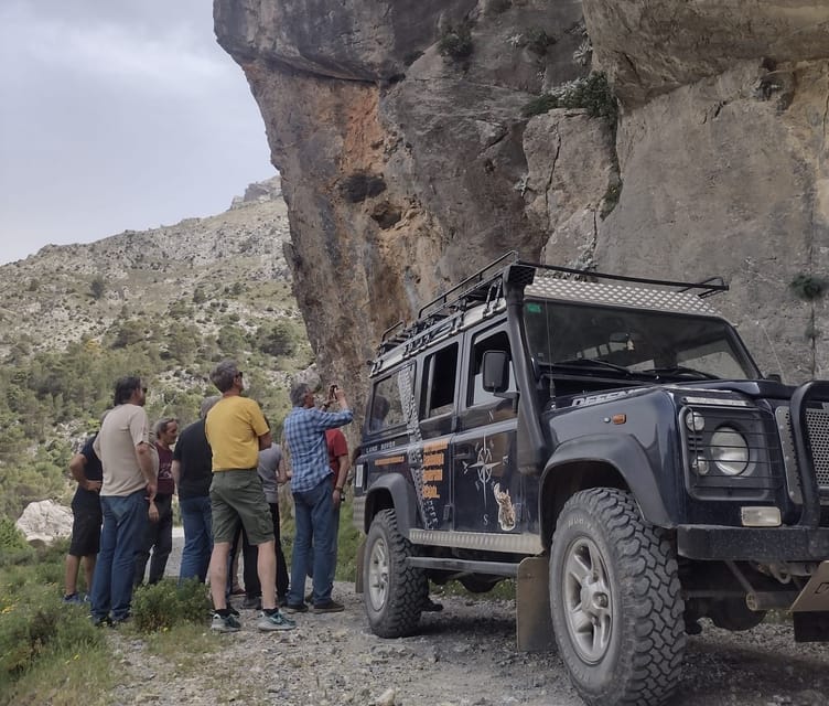 4x4 in the Heart of the Sierra De Las Nieves National Park - Tour Itinerary and Details