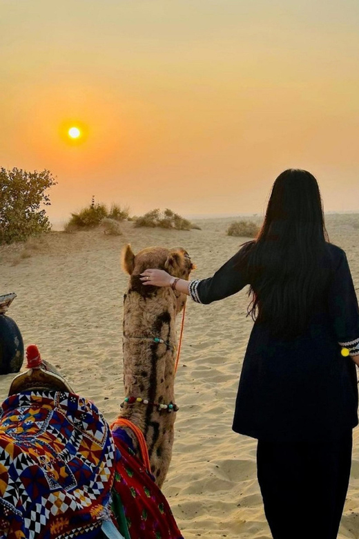 4×4 Jeep Safari and Camel Safari With Dinner on Sand Dunes - Historical Village and Oasis