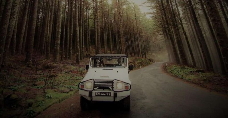 4x4 Jeep Tour to the East & Northeast of Madeira - Inclusions and Exclusions