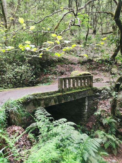 4x4 Jeep Tour to the East & Northeast of Madeira - Customer Reviews
