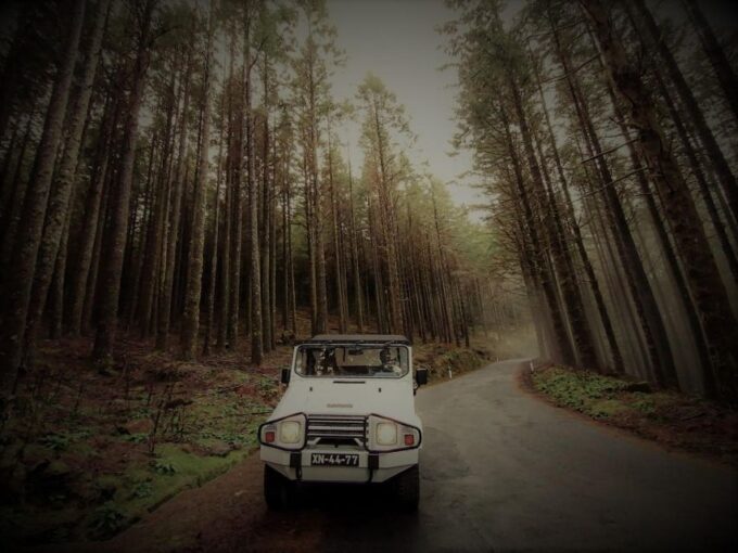 4x4 Jeep Tour to the East & Northeast of Madeira - Customization Opportunities
