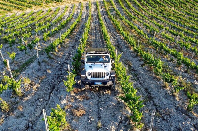 4x4 Jeep Vineyard Safari Tour With Lunch and Wine Tasting - Experience Highlights