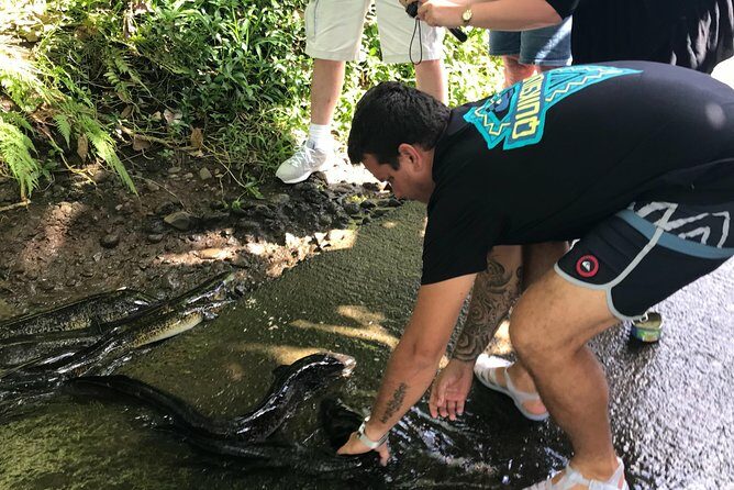 4x4 Moorea Safari Tours : With Hotel transfers - Key Points