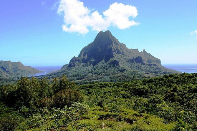 4x4 Moorea Safari Tours : With Hotel transfers - FAQ